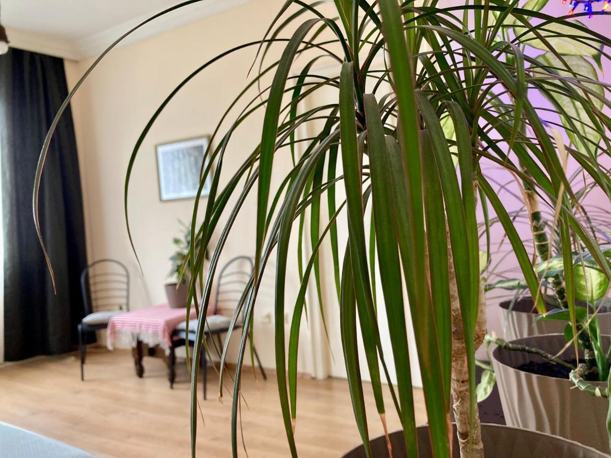 Terazije Square Lux Apartment Belgrad Dış mekan fotoğraf